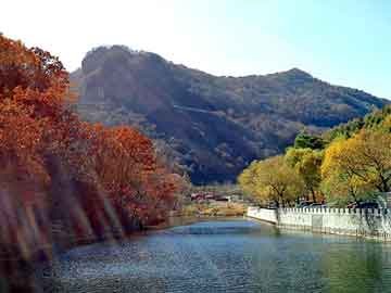 最新防盜秘籍，自然美景之旅，尋找內心平靜的旅程