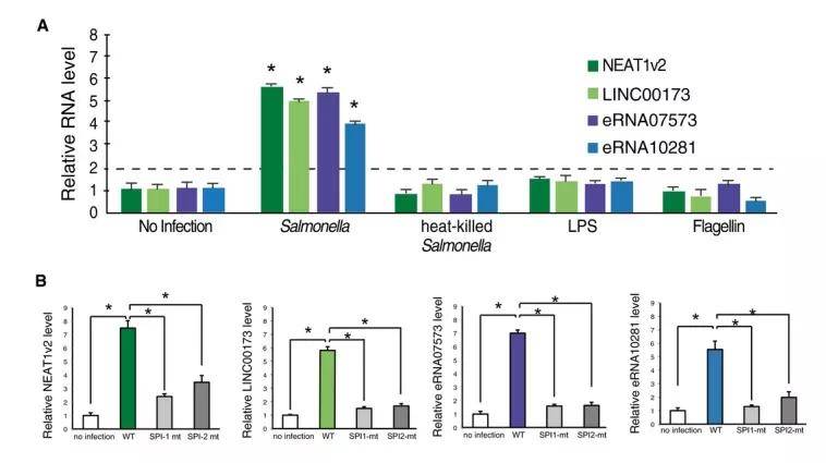 港澳彩資料免費網(wǎng),定量解析解釋法_BUN50.931體驗版