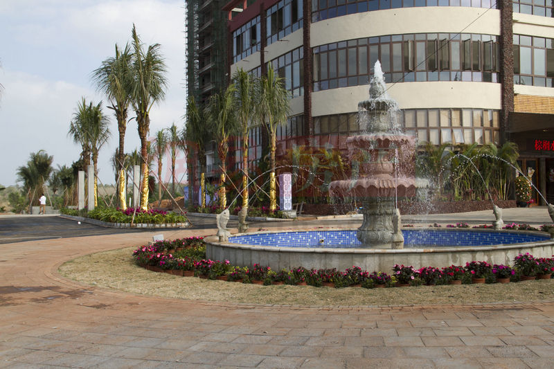 棕櫚水城最新動(dòng)態(tài)，塑造理想生活新標桿！