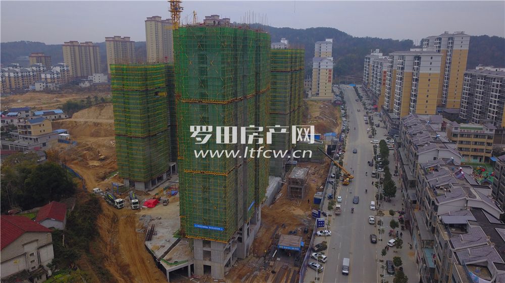 羅田最新房?jì)r(jià)揭秘，洞悉市場(chǎng)動(dòng)態(tài)，掌握房?jì)r(jià)走勢！