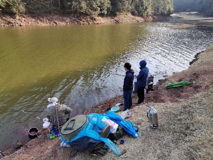 最新水庫釣魚(yú)視頻，探索釣魚(yú)樂(lè )趣與技巧全攻略