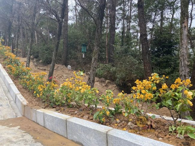 桂平手工，傳統與創(chuàng  )新的完美交融