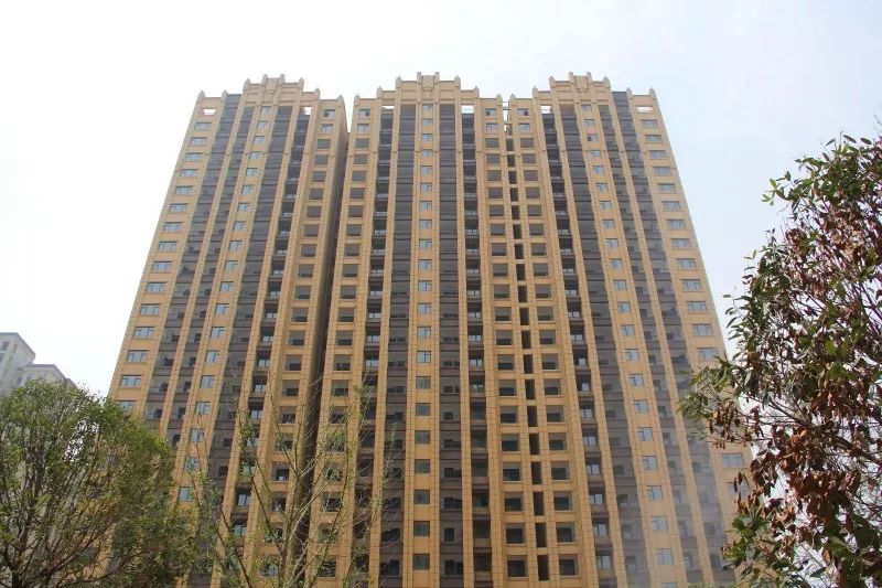 紫荊城邦最新動(dòng)態(tài)，揭開(kāi)未來(lái)生活新篇章的序幕