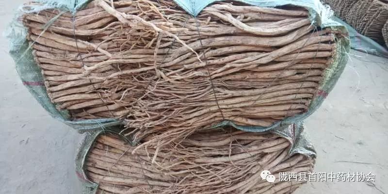 渭源黨參干貨最新價(jià)格及獲取指南，了解黨參干貨價(jià)格走勢與行情分析