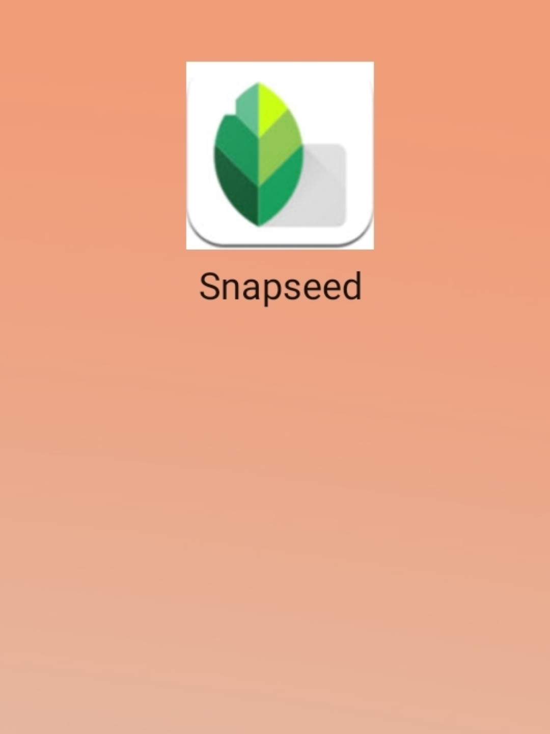 最新snapseed中文版，科技重塑影像，讓生活因攝影更精彩