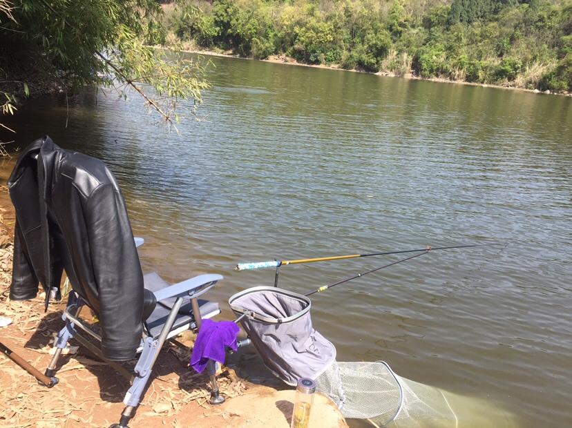 山門(mén)寺水庫釣魚(yú)最新指南，垂釣攻略與技巧分享