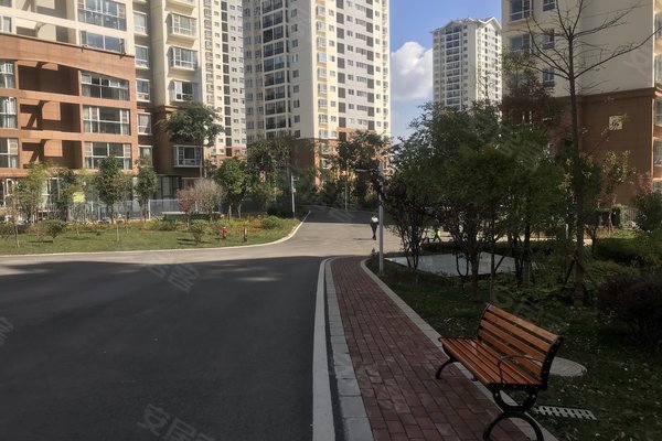 建禮家園最新動(dòng)態(tài)，小巷中的隱藏瑰寶揭秘