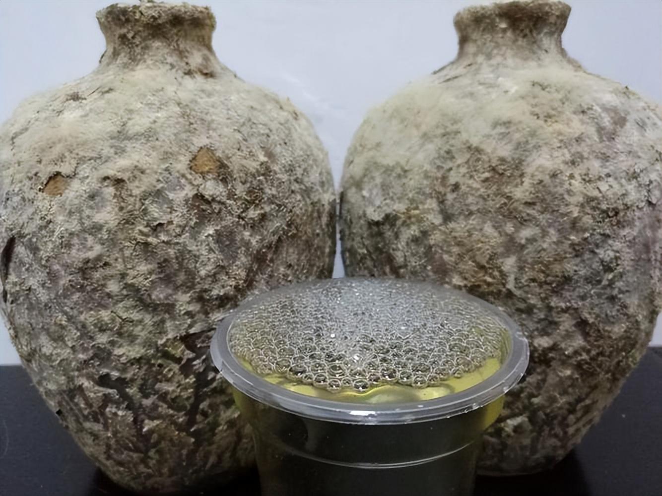 仁懷房屋出售最新信息，科技與家居融合，未來(lái)家居新體驗重磅推出