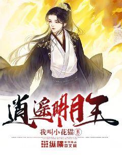 時(shí)代之光下的璀璨篇章，明月珰最新連載熱議熱議熱議！