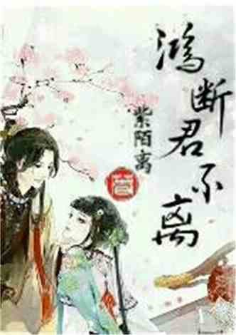 沈南汐最新小說(shuō)，知識的力量，成就夢(mèng)想的翅膀之路