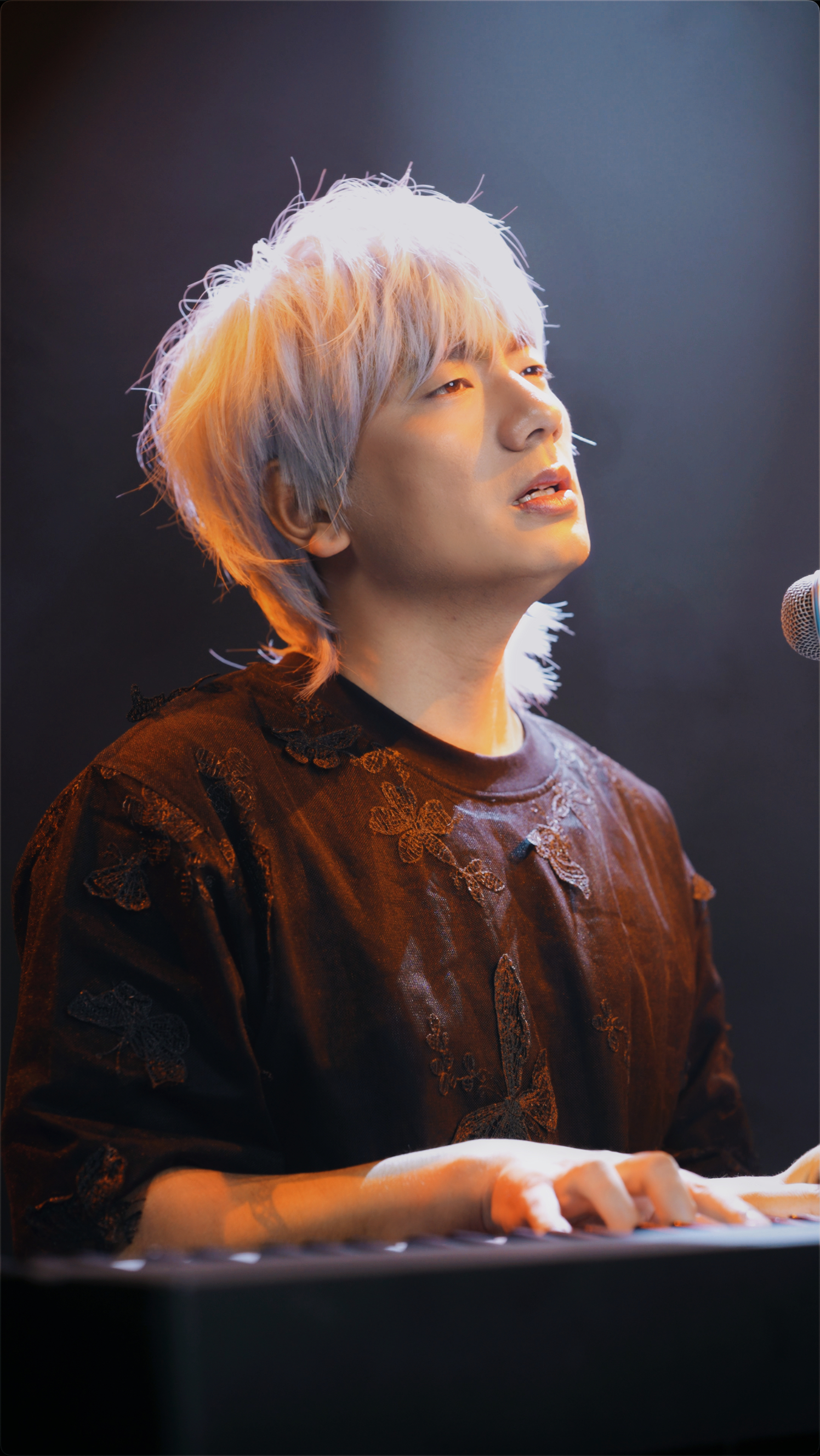 冷漠2024最新預告新歌，音樂(lè )與時(shí)代交融的期待之聲