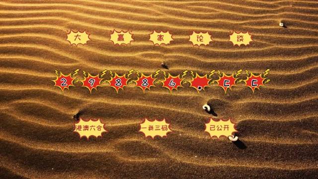 澳門(mén)九點(diǎn)資料,目前現象解析描述_VJY58.777可靠性版