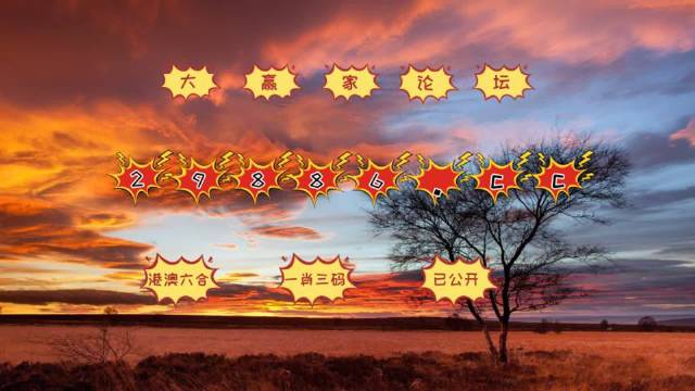 7777788888新版跑狗圖解析,數據引導執行策略_聲學(xué)版37.471