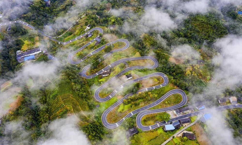 奉節云霧鄉的最新動(dòng)態(tài)與溫馨日常，云霧中的快樂(lè )時(shí)光