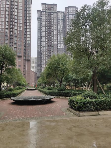 南陽(yáng)盛世御苑最新動(dòng)態(tài)揭秘，全面指南與步驟詳解