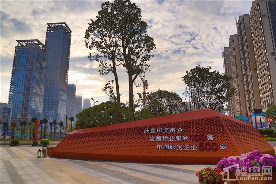 南寧彰泰城最新動(dòng)態(tài)，解讀其最新發(fā)展及影響的一種觀(guān)點(diǎn)分析