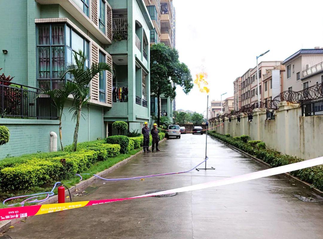 中山東鳳佛奧最新動(dòng)態(tài)，自然美景的探索之旅，尋找內心平和與寧靜