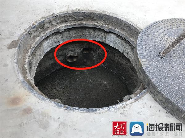 福建臺幫幫團最新一期揭秘，小巷深處的隱藏美食瑰寶