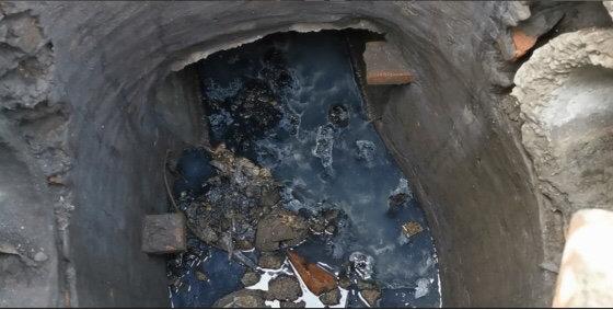 遂寧市電子廠(chǎng)最新招聘，與自然共舞，探尋內心寧靜之旅