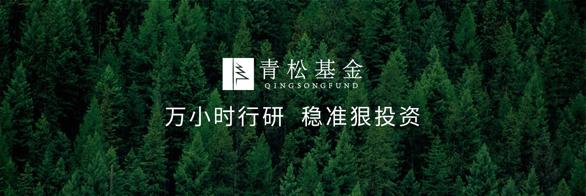 長(cháng)青樹(shù)眾籌最新動(dòng)態(tài)，背景、發(fā)展與時(shí)代地位探索