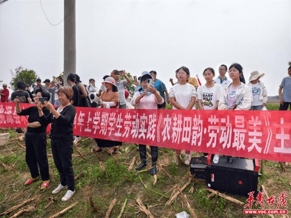 桃源木塘垸鄉新動(dòng)態(tài)，趣事連連，真摯友情綻放鄉間