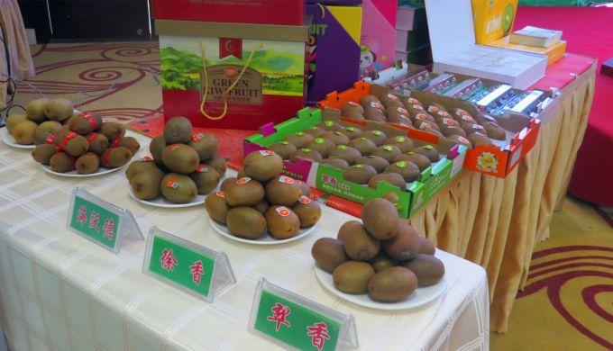 嘉興對接上海最新進(jìn)展，城市崛起中的自信與成就感展現新面貌