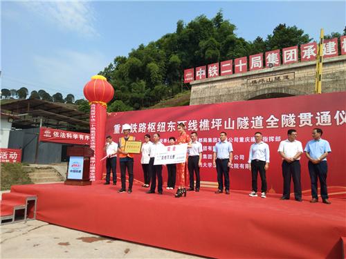 巴南鐵路最新線(xiàn)路圖及其影響深度解析