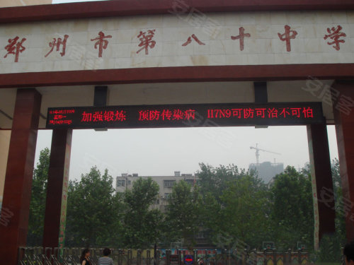 中原區九龍城最新動(dòng)態(tài)深度解析，最新進(jìn)展與觀(guān)點(diǎn)闡述