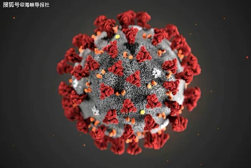 最新A型病毒，日常溫馨防護須知