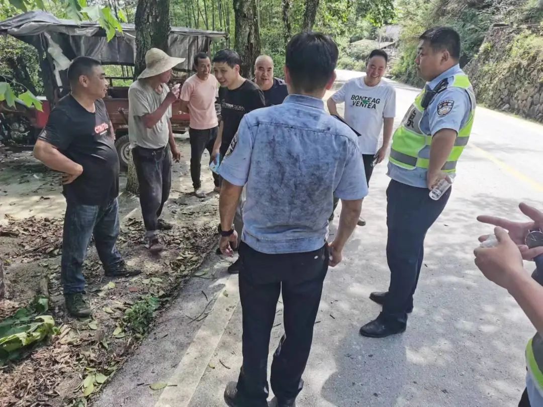 慶元最新事件，引領(lǐng)科技潮流的高科技產(chǎn)品揭秘