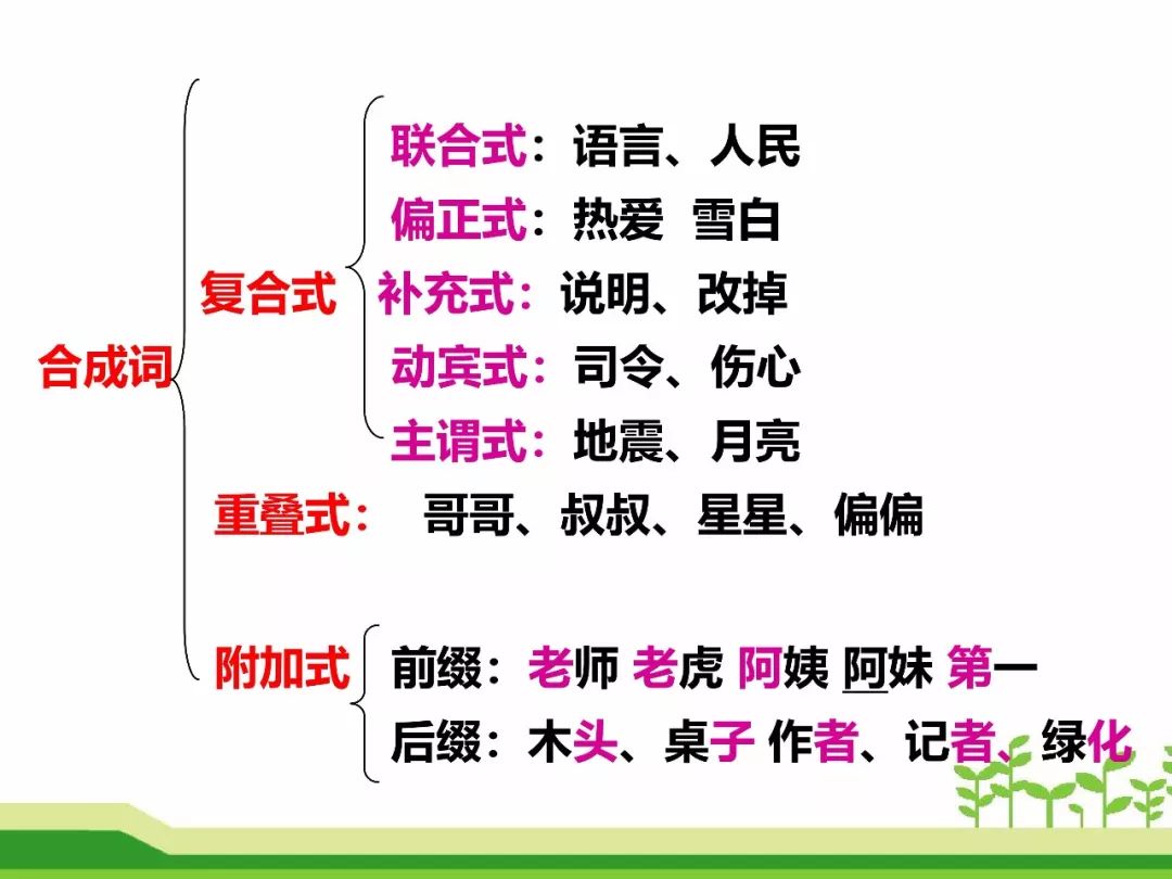 最新合成詞，語(yǔ)言發(fā)展的微觀(guān)視角探索