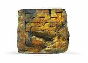 余厚蜀最新動(dòng)態(tài)，科技前沿探索與行業(yè)創(chuàng  )新引領(lǐng)