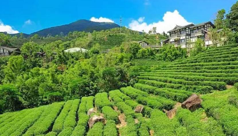 深圳驚喜活動(dòng)溫情之旅，日常中的特別瞬間