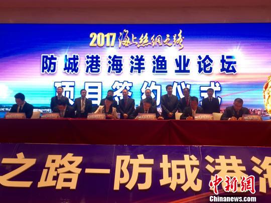 防誠港最新,防誠港的最新發(fā)展，機遇與挑戰并存