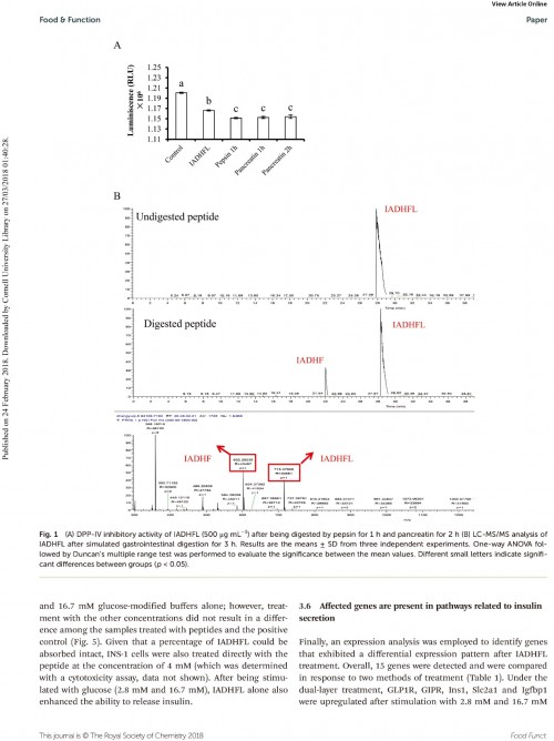 糖肽最新文獻，自然之旅的心靈探尋之旅，尋找內心的寧靜