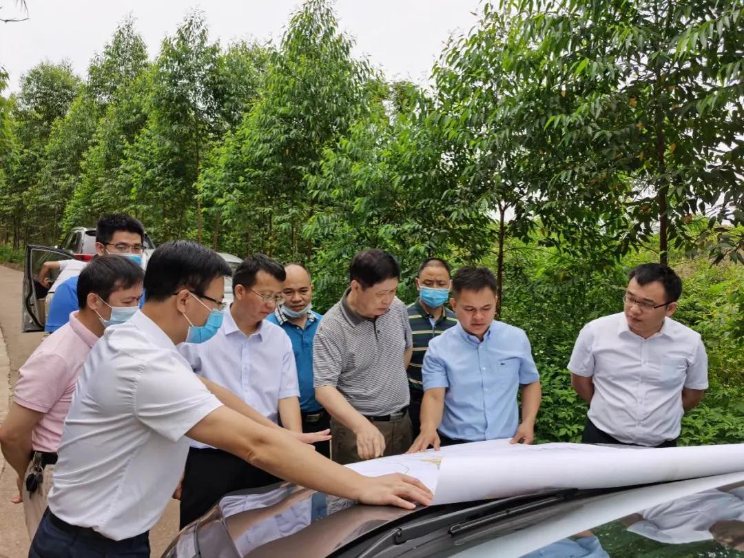 南寧龍象谷最新資訊，游玩指南與技能學(xué)習步驟全解析