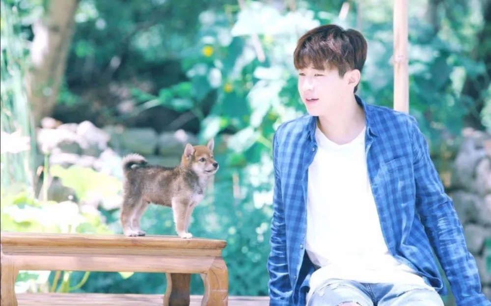 夏雪黃磊攜手演繹別樣精彩人生，新作品震撼來(lái)襲！???