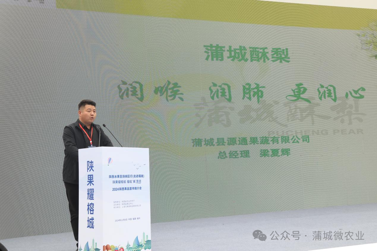 梨城資訊速遞，探索梨城新動(dòng)態(tài)與發(fā)展趨勢