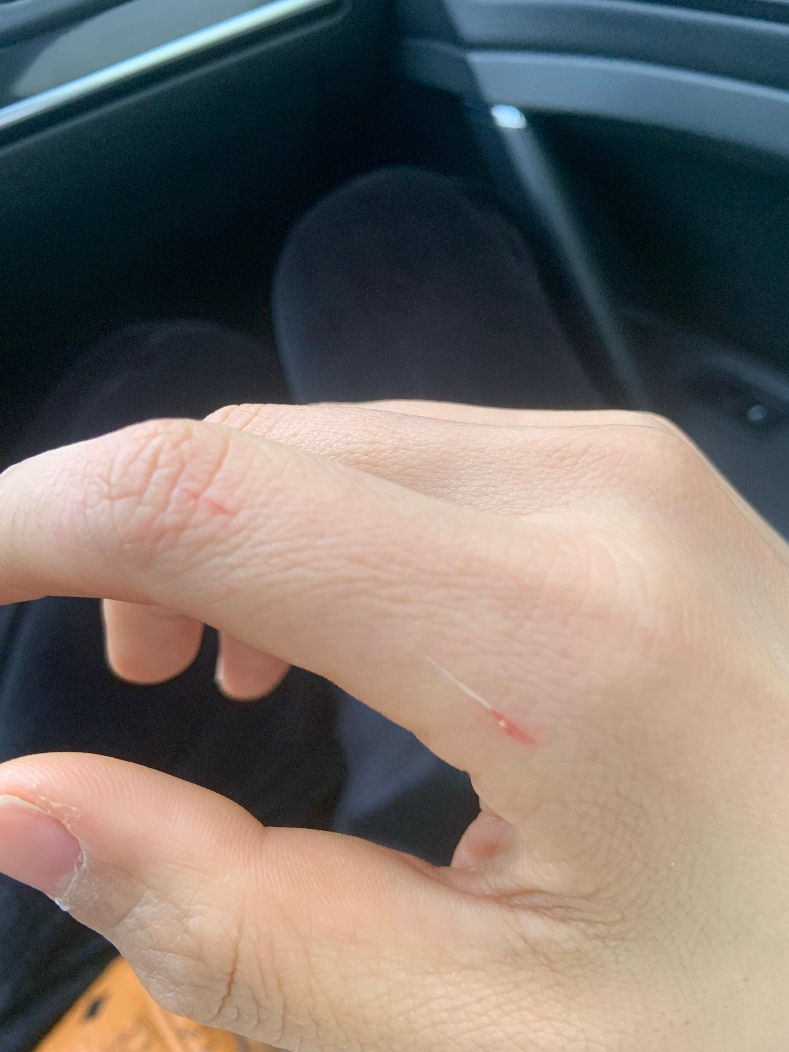 最新口子，開(kāi)啟學(xué)習之旅，擁抱變化的力量