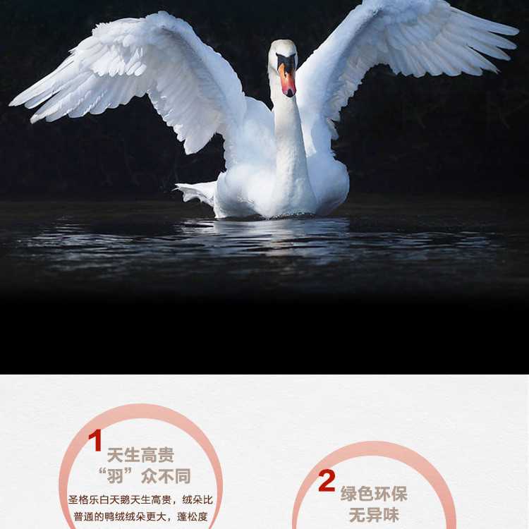 探索小巷羽絨寶藏，90白鵝絨價(jià)格與溫暖故事