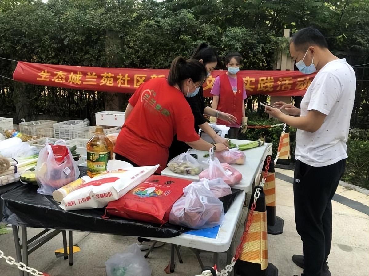 保利華潤紫云價(jià)格深度解析，探尋背后的故事與地位影響