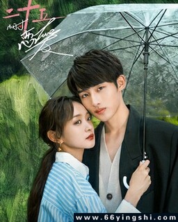 最新電視劇免費下載，小巷深處的影視寶藏探索