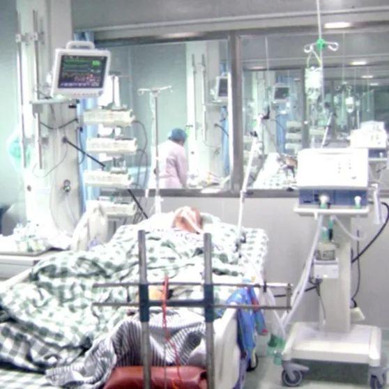 廣東人才招聘信息啟航，探索自然美景，尋覓內心寧靜之旅