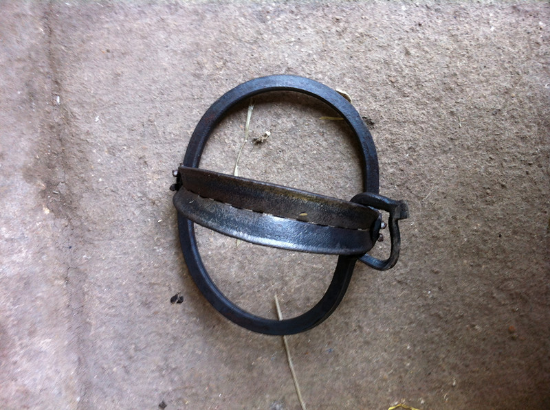 新款野豬夾子，現代狩獵與土地管理的必備利器