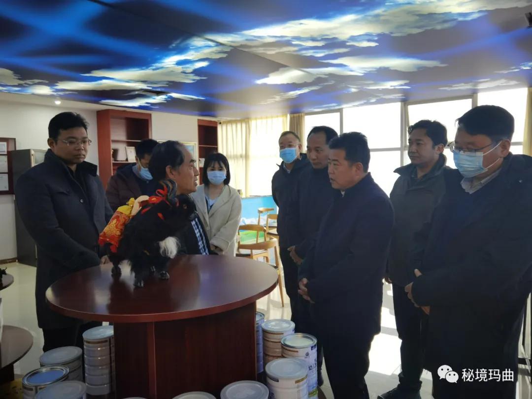 高原之寶上市，學(xué)習、蛻變與自信的輝煌之旅