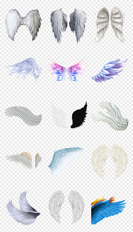 動(dòng)漫翅膀繪制指南，從白紙起步，繪出飛翔的勵志翅膀！