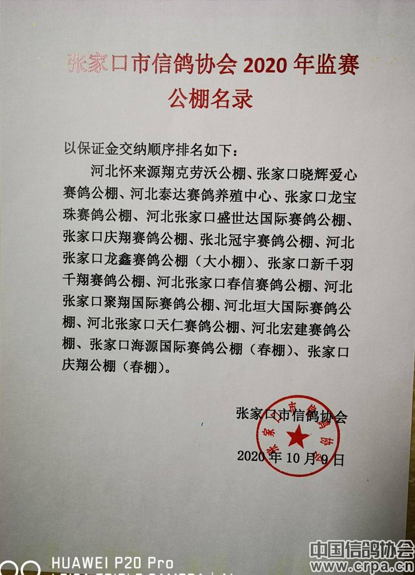 東光信鴿協(xié)會(huì )最新通告，小巷深處的獨特風(fēng)味揭秘與信鴿活動(dòng)更新通知