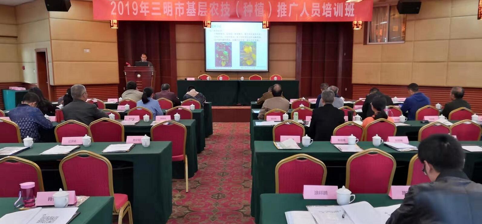 豇豆最新，廚房中的友情與家的溫馨