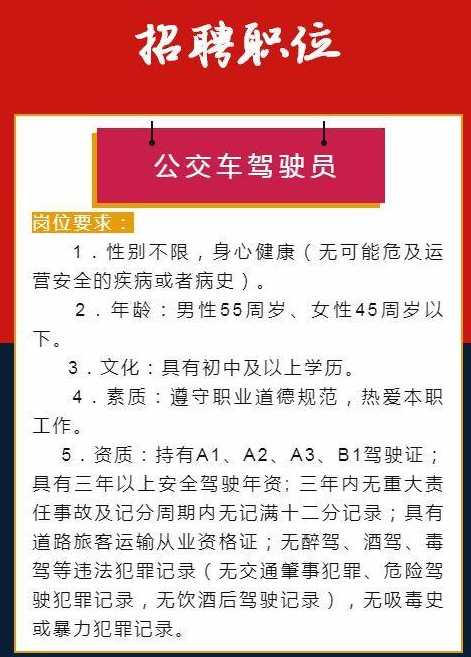 中山市司機招聘啟事，誠邀加入，共啟新征程！