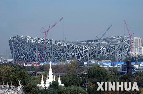 鳥(niǎo)巢比賽項目，小巷深處的獨特盛宴揭秘